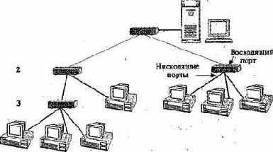 Сетевые информационные технологии